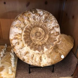 Meet your Posher, Lacy